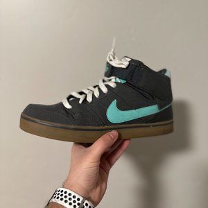 Nike 6.0 Shoes